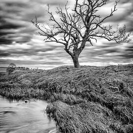 running through  by John Farnan