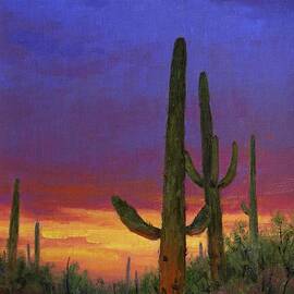Saguaro Sunset by Cody DeLong
