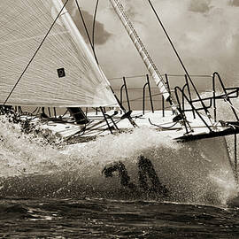 Sailboat Le Pingouin Open 60 Sepia by Dustin K Ryan
