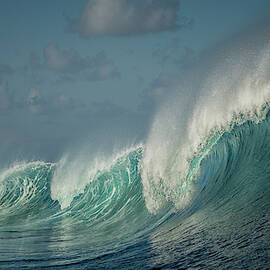 Salt Water Machine by Mathilde Guillemot