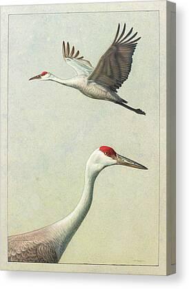 Crane Canvas Prints for Sale