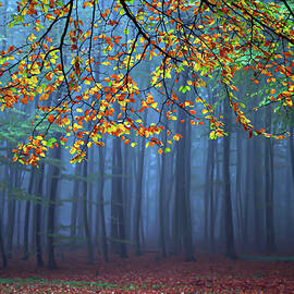 Seconds Before The Light Went Out by Roeselien Raimond