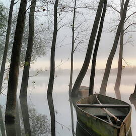 Serene Dawn by Rui David