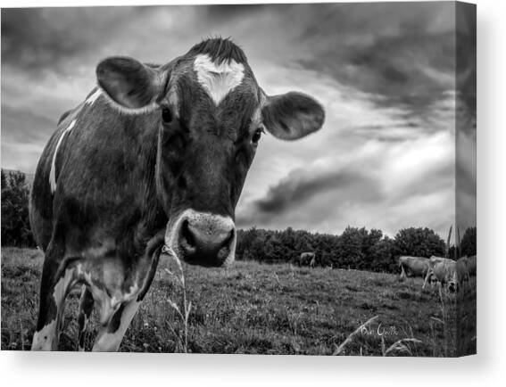 She wears her heart for all to see Canvas Art Print by Bob Orsillo Studio d'artista