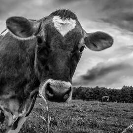 She wears her heart for all to see by Bob Orsillo Studio d'artista