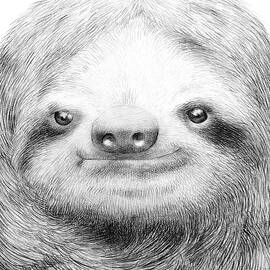 Sloth by Eric Fan