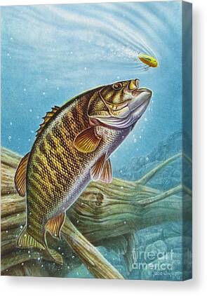 Bass Canvas Prints for Sale