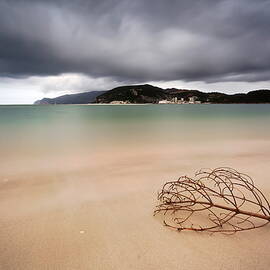 Smooth Feeling by Rui David