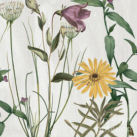 Softly Crocus and Daisy by Mindy Sommers