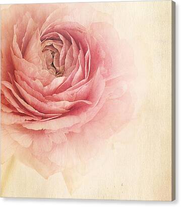 Sogno Romantico Canvas Print