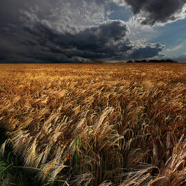 Strohgaeu by Franz Schumacher