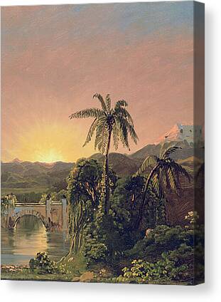 Rainforests Canvas Prints for Sale