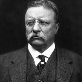Teddy Roosevelt by War Is Hell Store