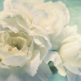 tenderly by Priska Wettstein