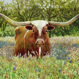 Texas Longhorn by Hailey E Herrera