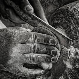 The Birth Of A Glass by Mathilde Guillemot