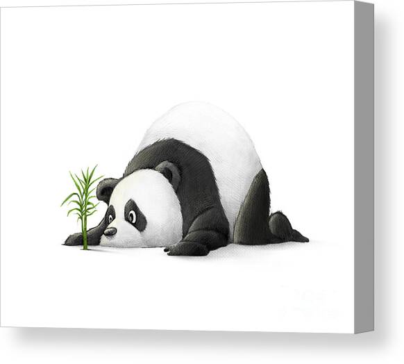 The Patient Panda Canvas Art Print by Michael Ciccotello