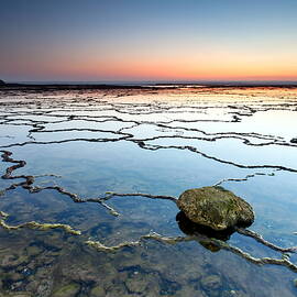 The Stone Net by Rui David