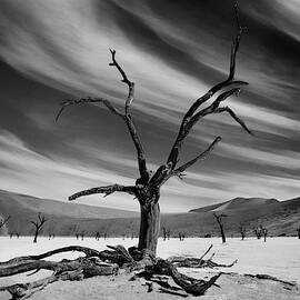 The Supervisor by Mathilde Guillemot