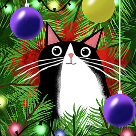 The Tuxedo and the Christmas Lights  by Andrew Hitchen