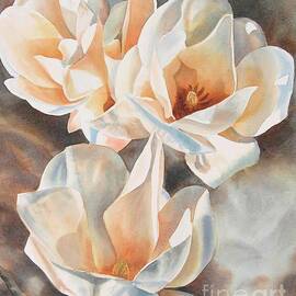 Three White Magnolias by Sharon Freeman