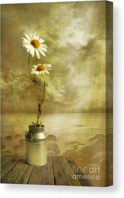 Together Canvas Art Print by Veikko Suikkanen