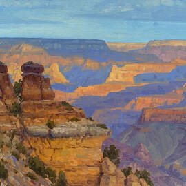 Transient Light by Cody DeLong