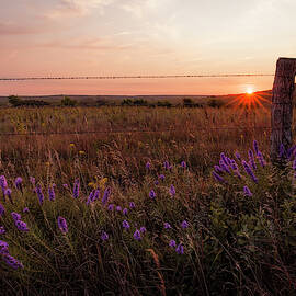 Beginnings and Endings by Scott Bean