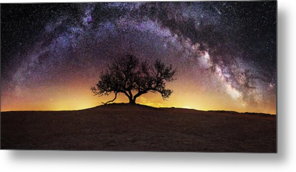 Tree Of Wisdom Metal Print
