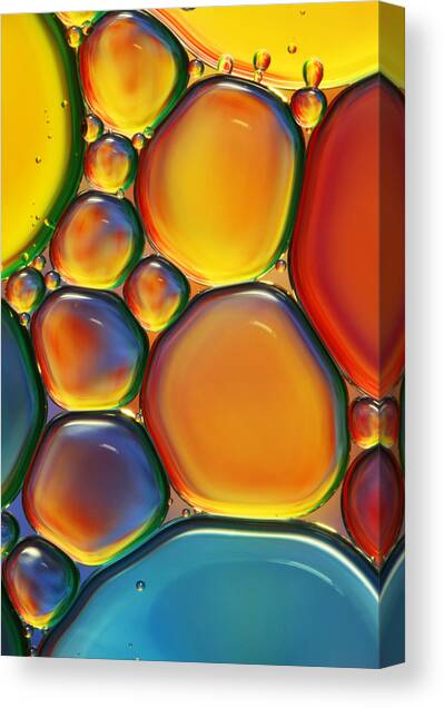 Tropical Oil and Water II Canvas Art Print by Sharon Johnstone