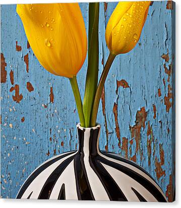Two Yellow Tulips Canvas Print