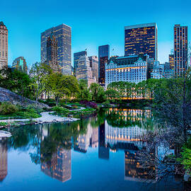 Urban Oasis by Az Jackson