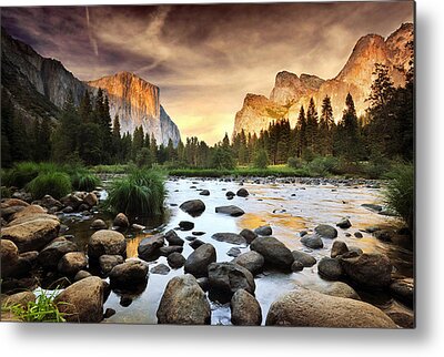 Nature Metal Prints for Sale