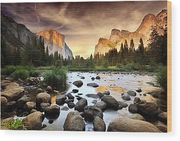 Nature Wood Prints for Sale