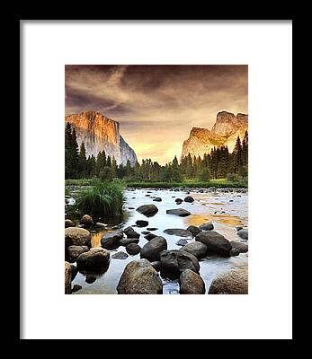 Nature Framed Prints for Sale