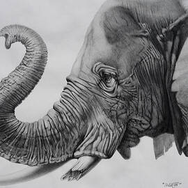 Veteran by Tim Dangaran