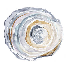 Watercolor Tree Ring Iv by Ethan Harper