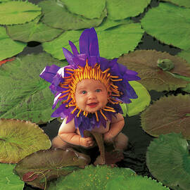 Tayla as a Waterlily by Anne Geddes