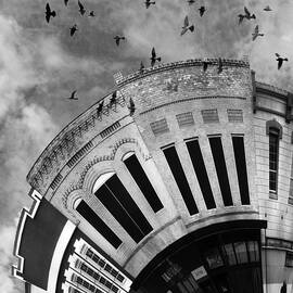 Wee Bryan Texas Detail in Black and White by Nikki Smith