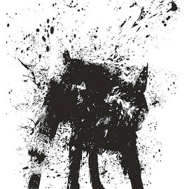 Wet dog by Balazs Solti