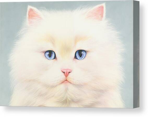 White Persian Canvas Art Print by MGL Licensing