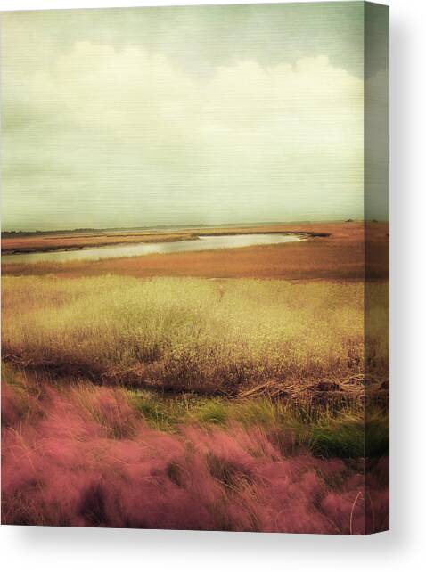 Wide Open Spaces Canvas Art Print by Amy Tyler