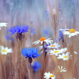 Wildflowers by Magda Bognar