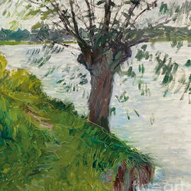 Willow by the River, Saule au bord de la riviere, 1891 by Gustave Caillebotte
