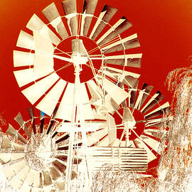 Wind in the Willows by Holly Kempe