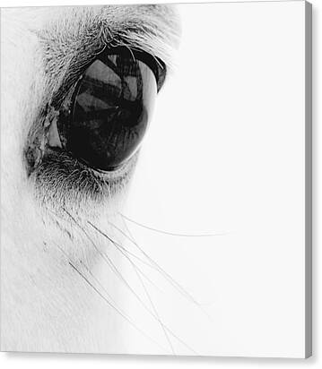 Window To The Soul Canvas Print