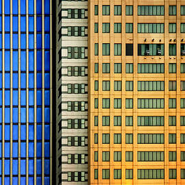Windows On The City by Mathilde Guillemot
