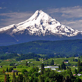 Wine Country by Scott Mahon