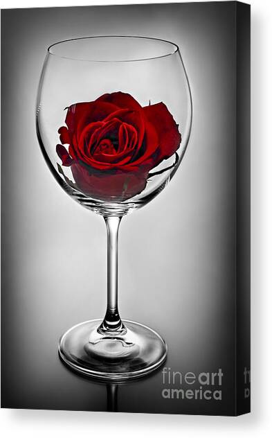 Wine glass with rose Canvas Art Print by Elena Elisseeva
