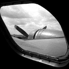Wing And Window by Dan Holm